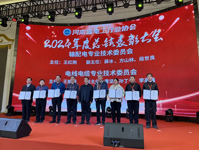索凌電氣榮獲河南省電工行業(yè)雙優(yōu)稱號(hào)， 持續(xù)助力電力行業(yè)發(fā)展
